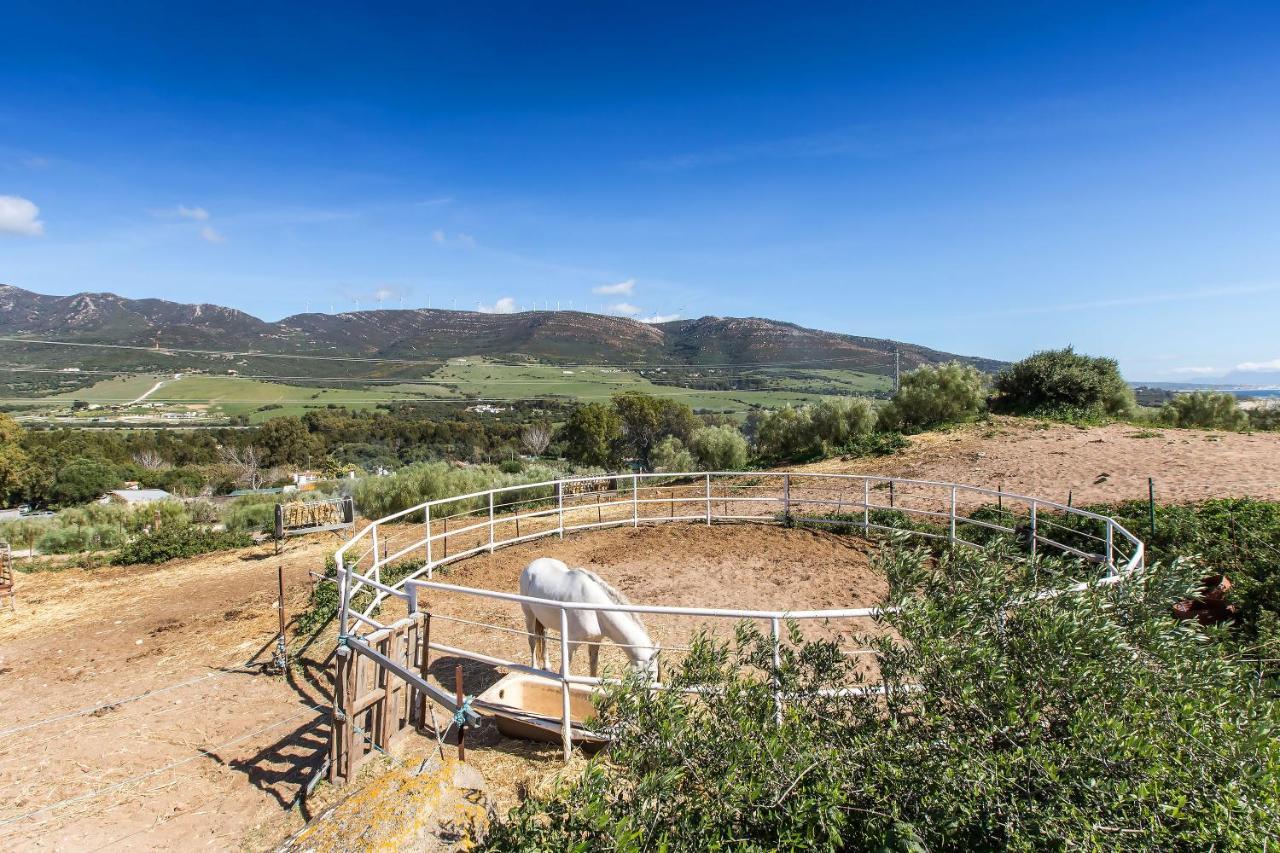 Casita Rural En Centro De Hipica Lägenhet Tarifa Exteriör bild