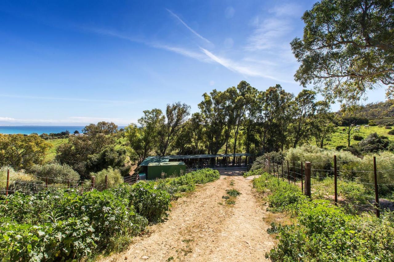 Casita Rural En Centro De Hipica Lägenhet Tarifa Exteriör bild