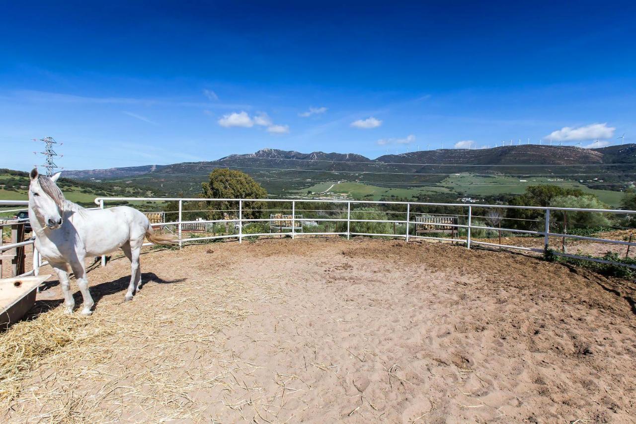 Casita Rural En Centro De Hipica Lägenhet Tarifa Exteriör bild