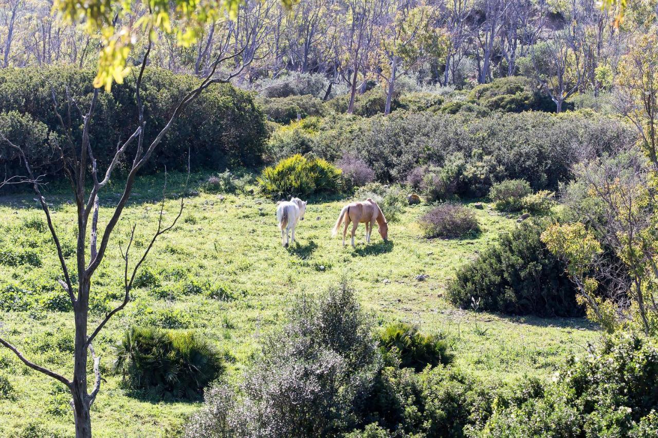 Casita Rural En Centro De Hipica Lägenhet Tarifa Exteriör bild